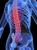 Kinesiology for Back pain on the Sunshine Coast